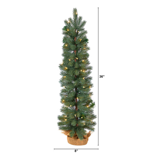 a tall christmas tree with lights