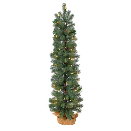 a tall christmas tree with lights
