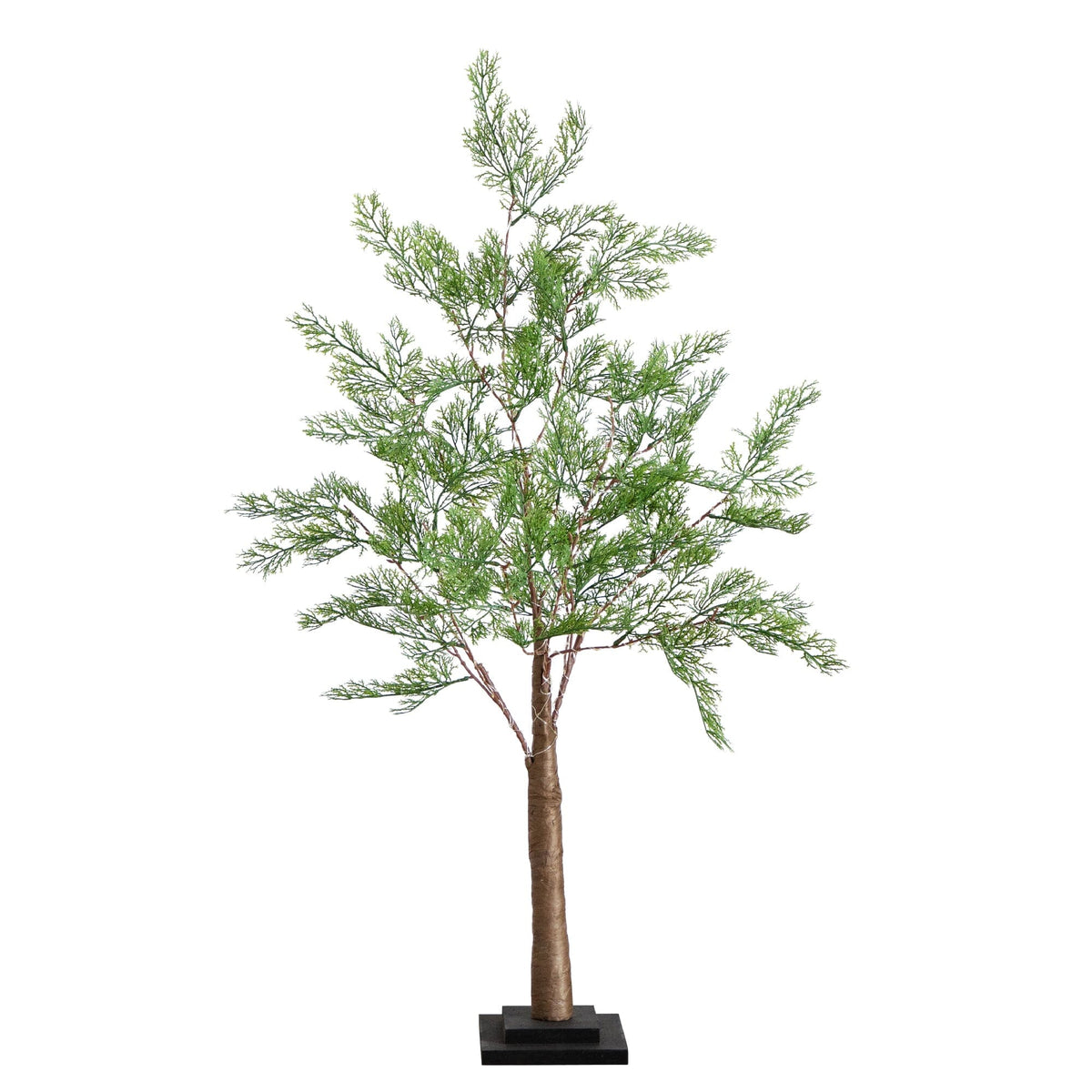 a tree with green leaves