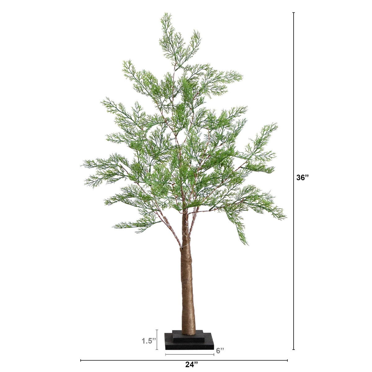 a tree with a height of 3. 5 inches