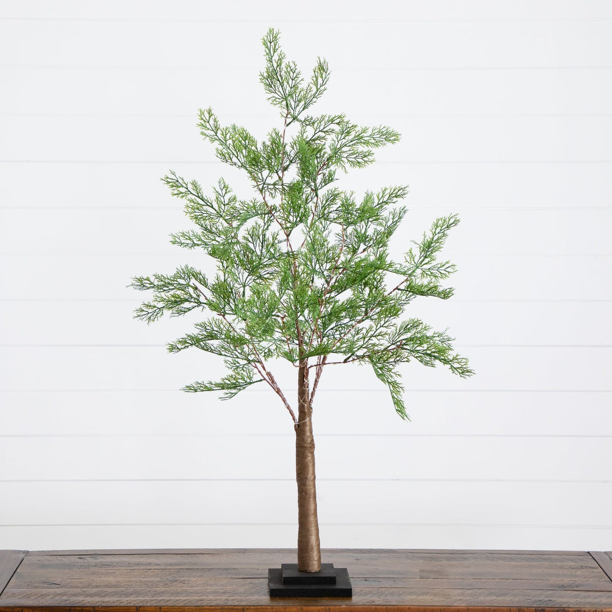 a tree on a table