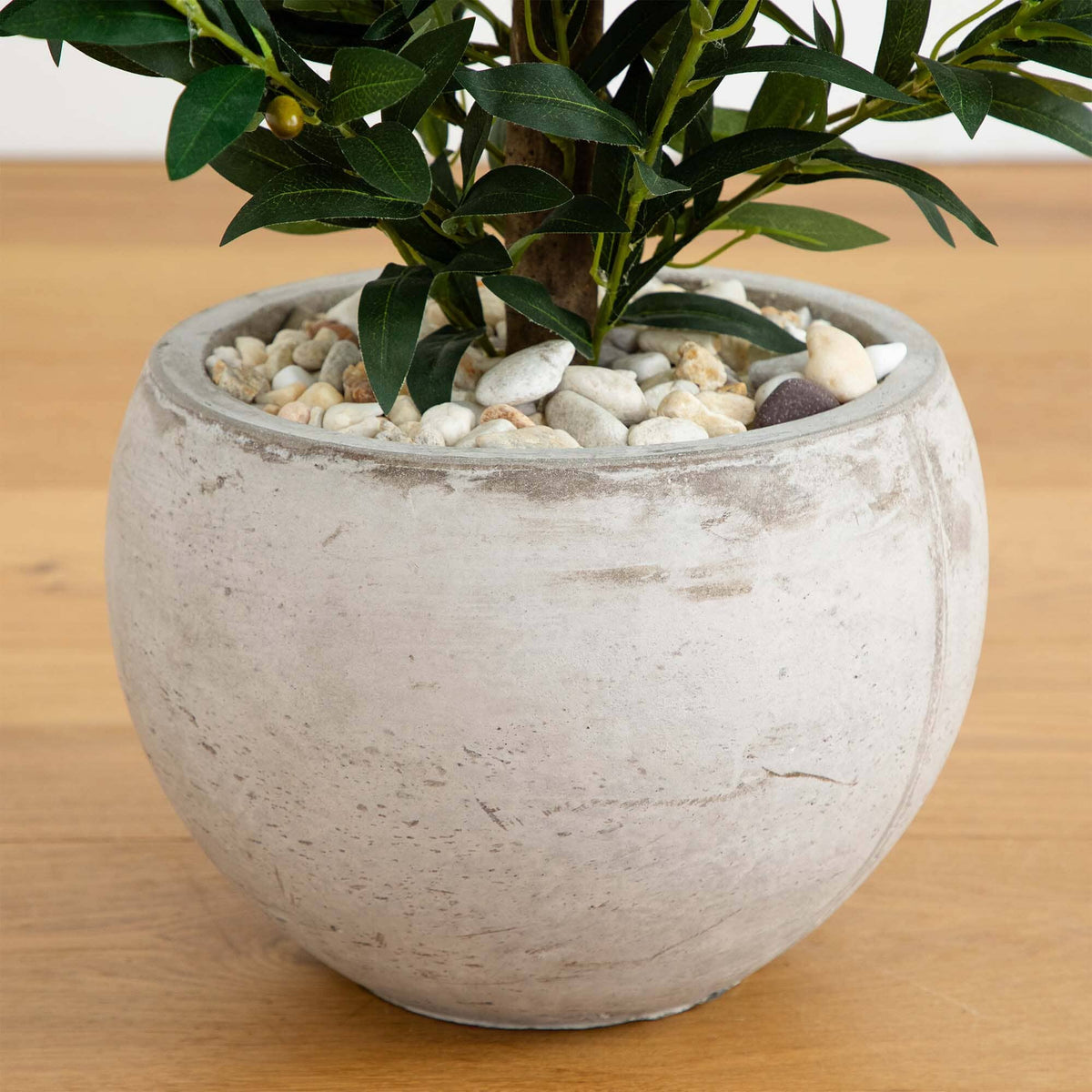 a plant in a pot