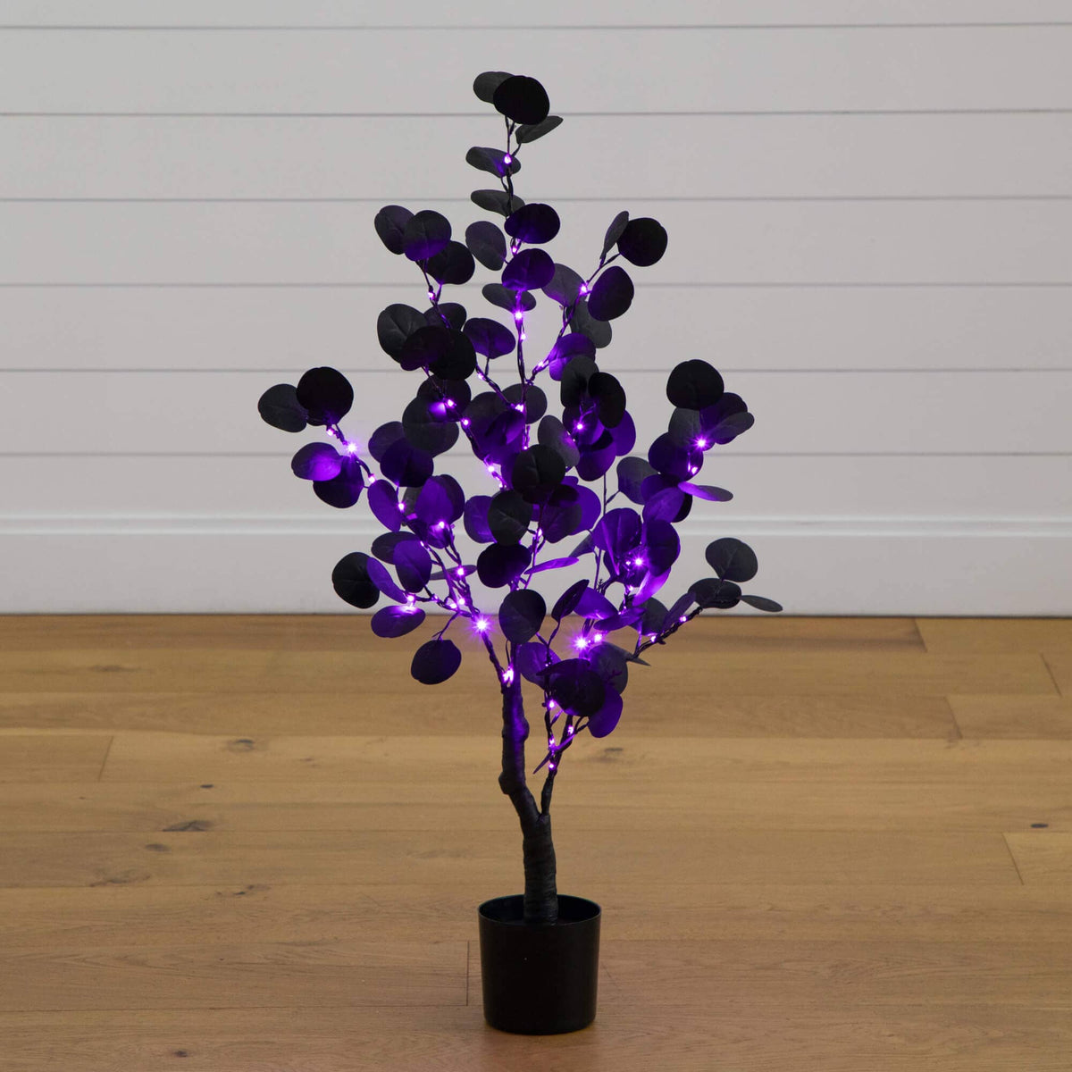 a tree with purple lights