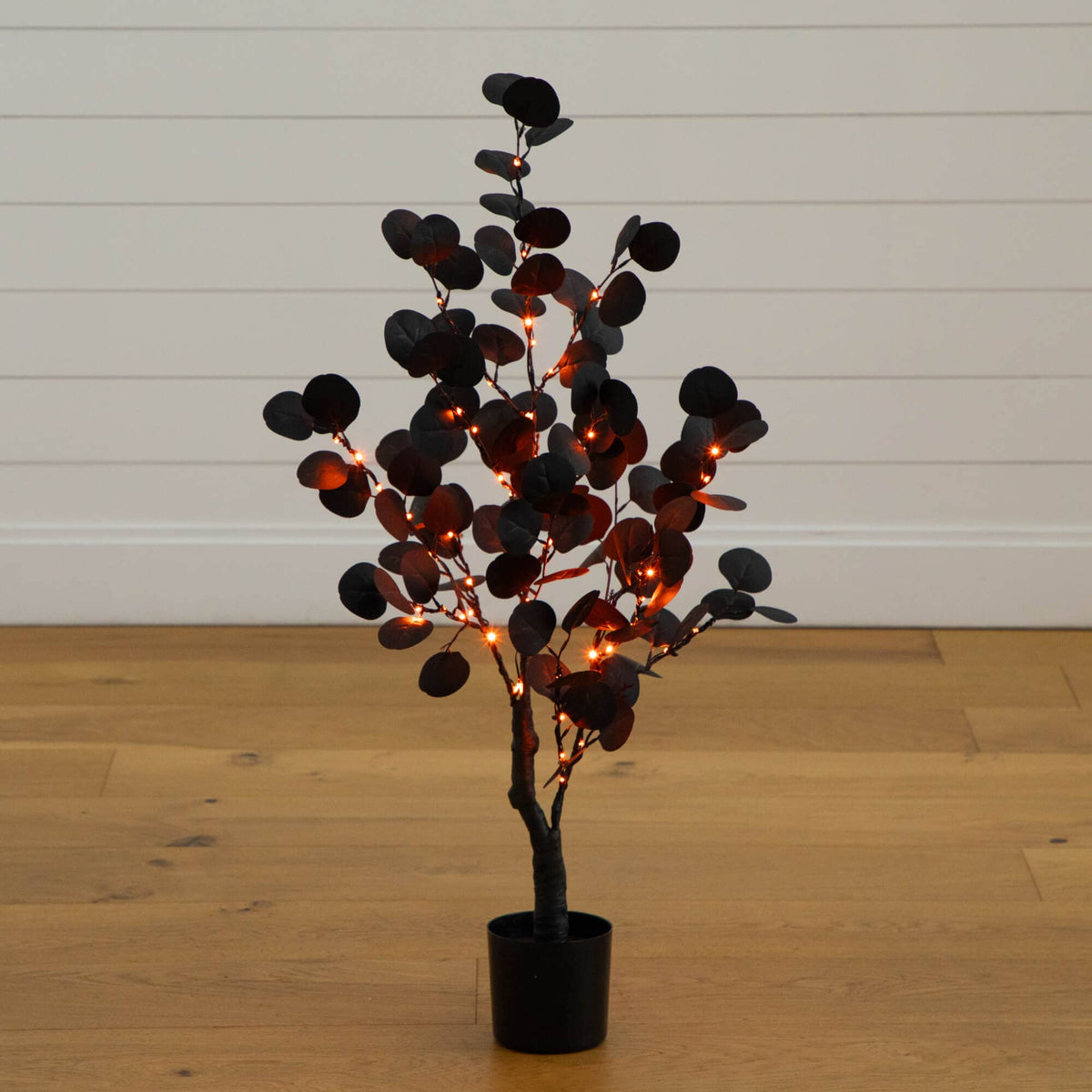 a tree with lights in a pot