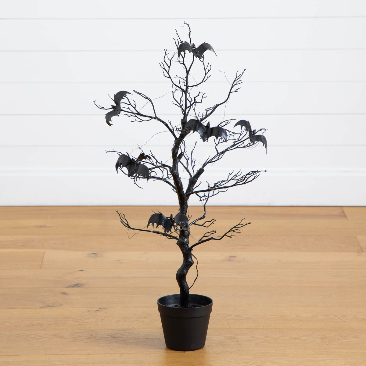 a tree with bats in a pot