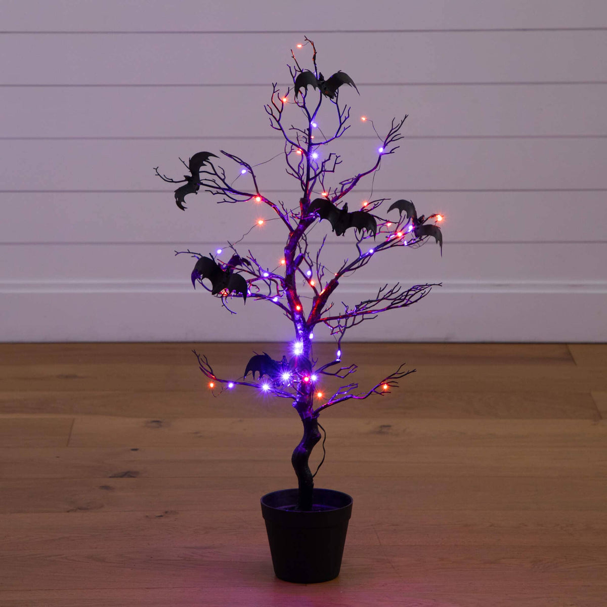 a tree with lights on it