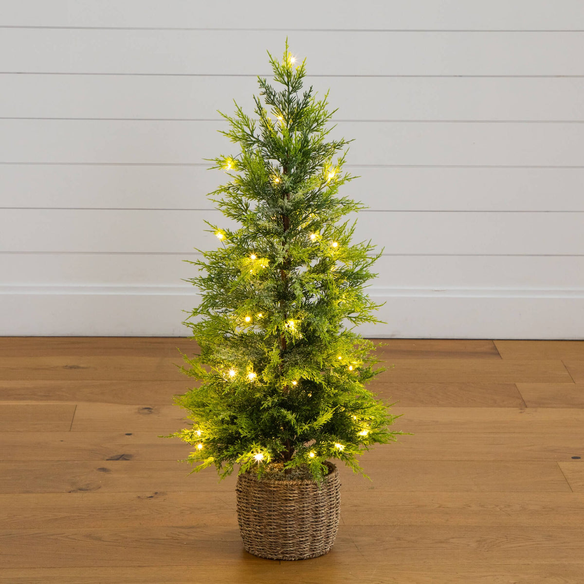 a small tree with lights in a pot