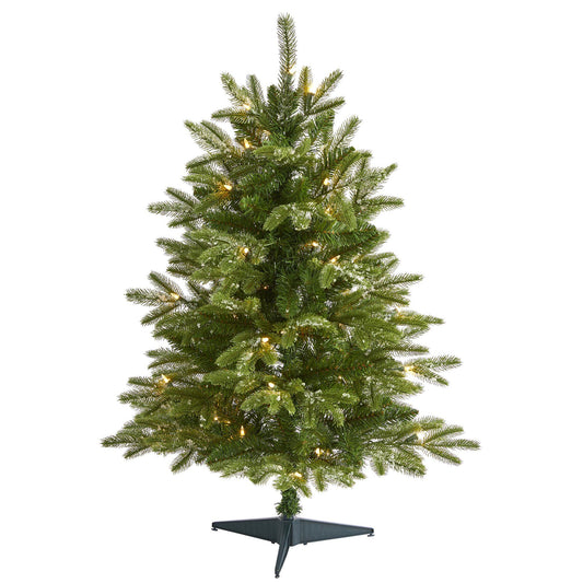 a christmas tree with lights