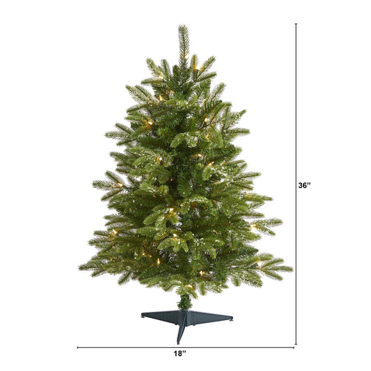 a christmas tree with lights