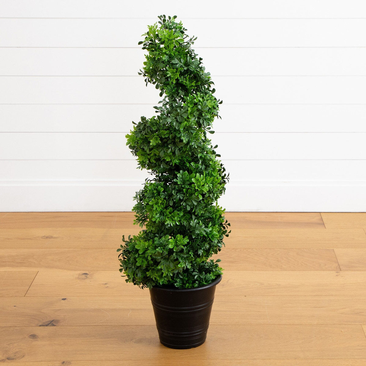 a plant in a pot