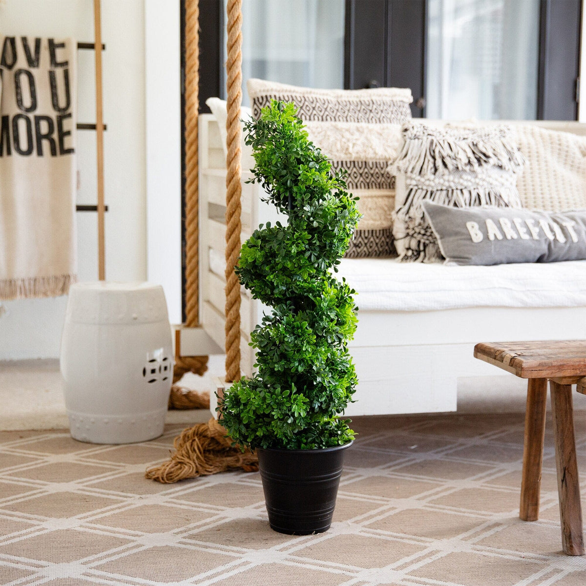 a plant in a pot on a carpet