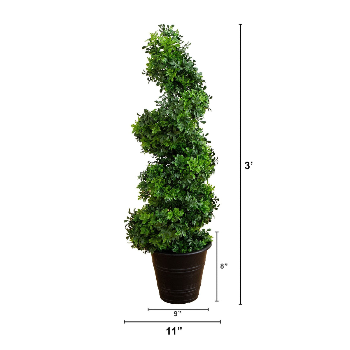 a tall plant in a pot