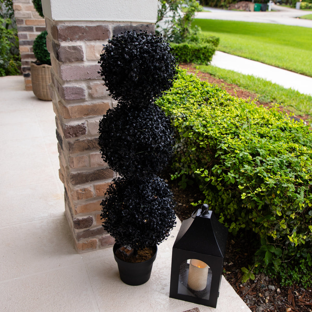 a black plant on a stone pillar