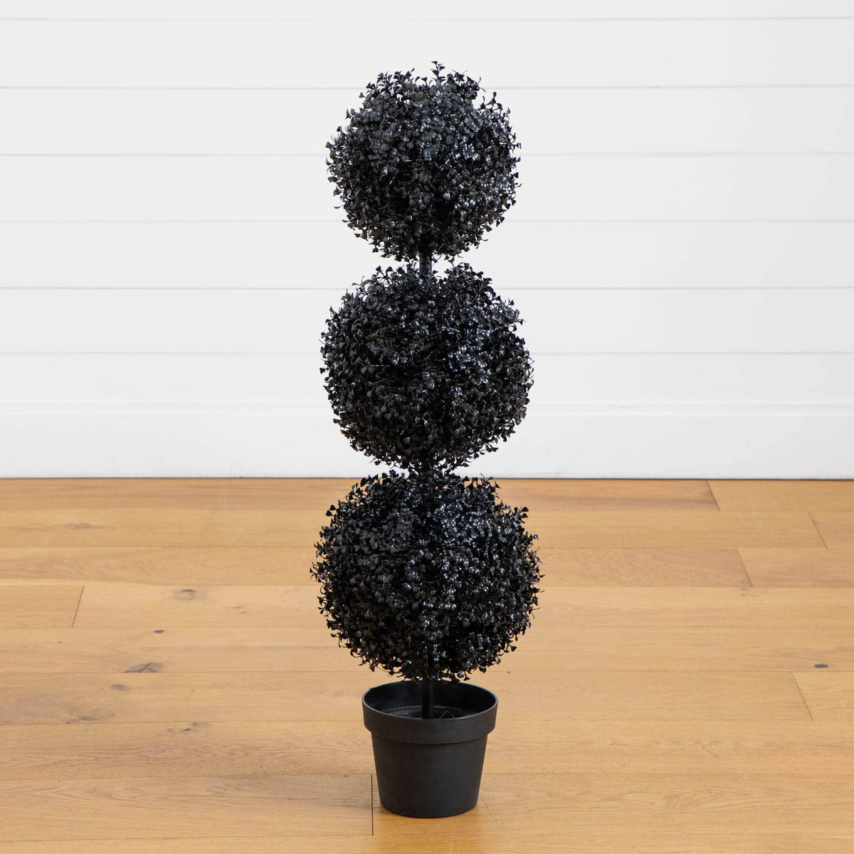 a plant in a pot