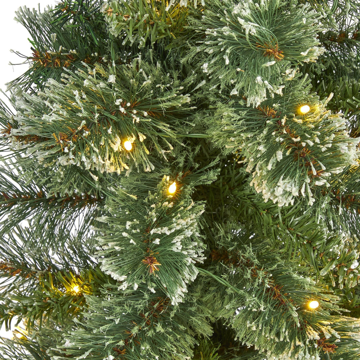 a close up of a christmas tree