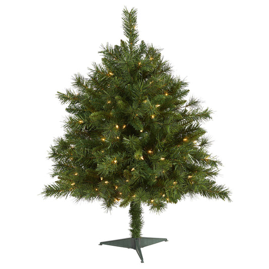 a christmas tree with lights