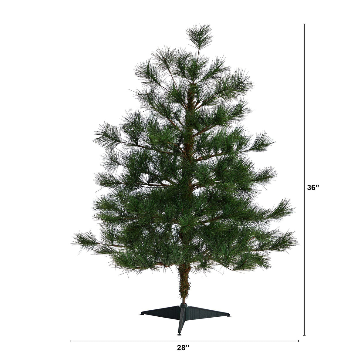 a tree with a height of 32 inches