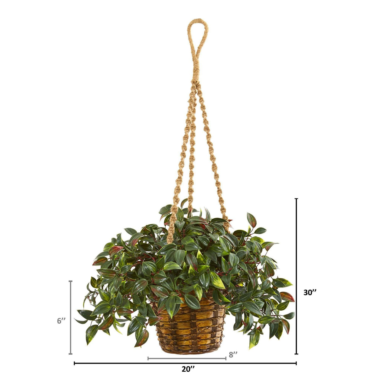 a plant in a basket