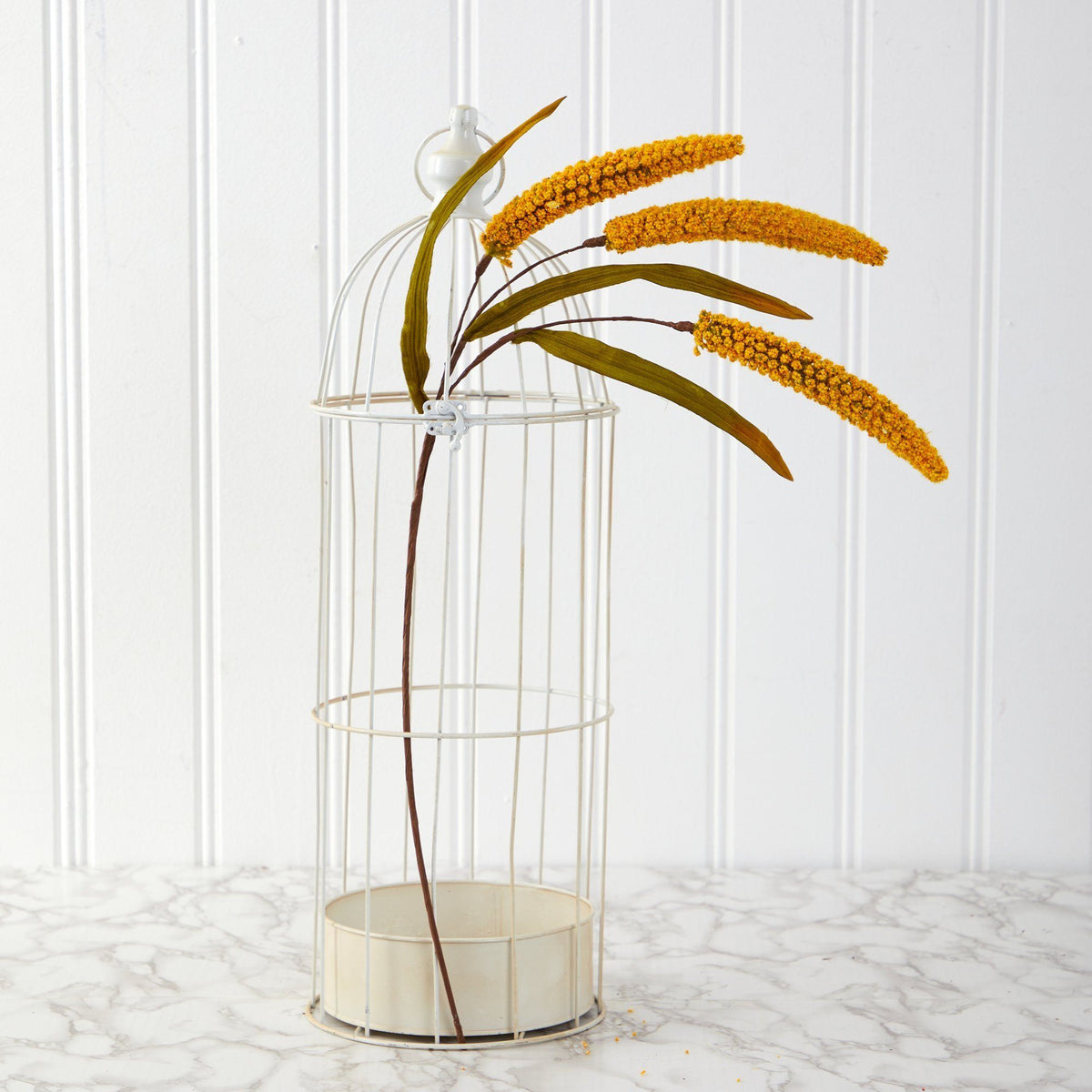 a yellow flowers in a cage