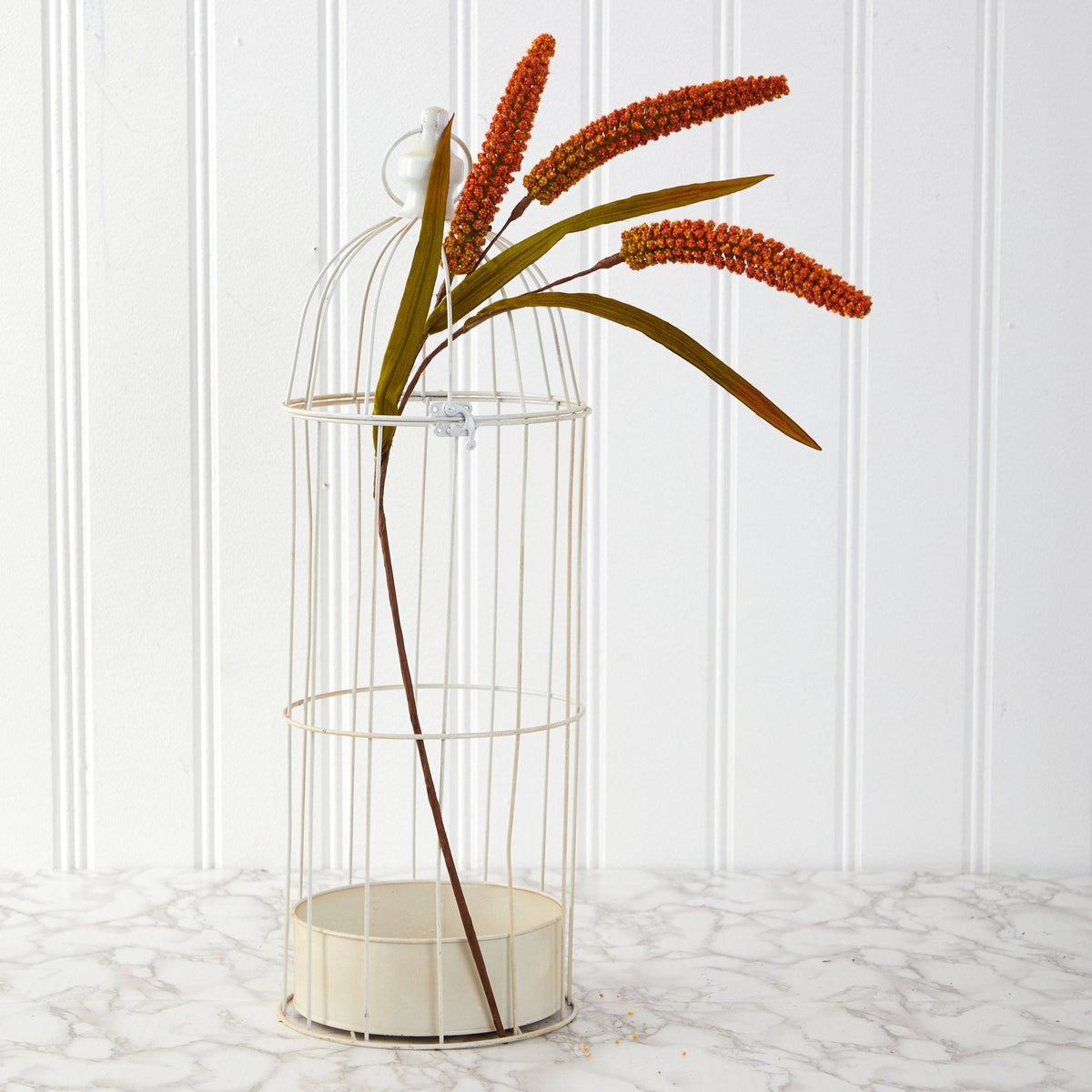 a plant in a cage