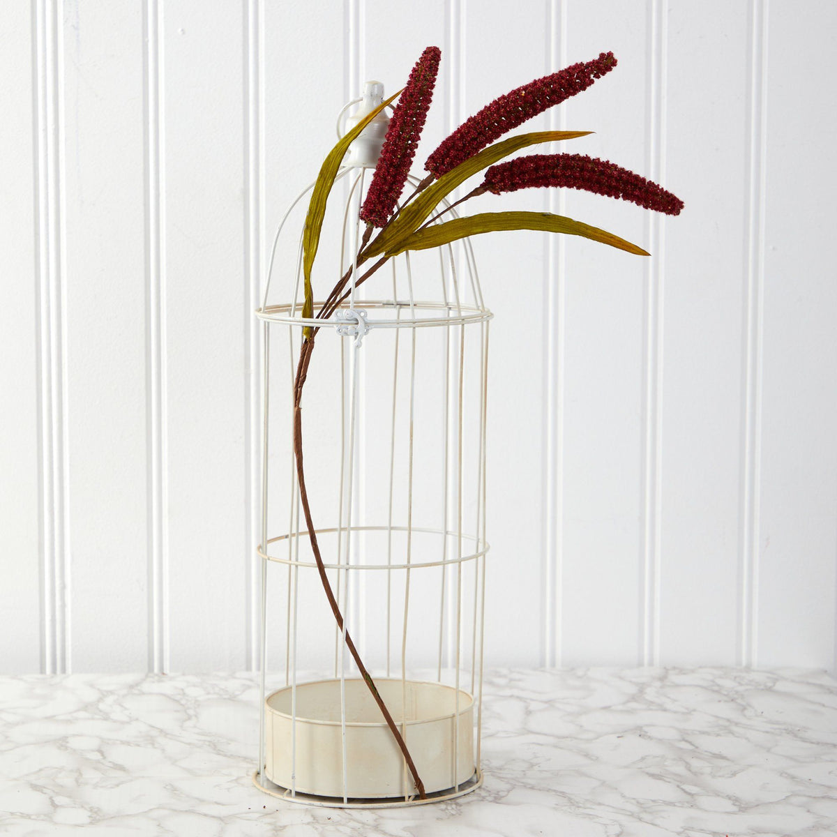 a plant in a cage