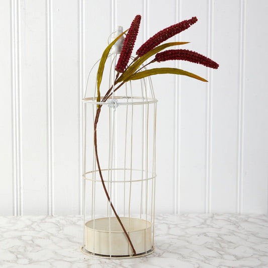 a plant in a cage
