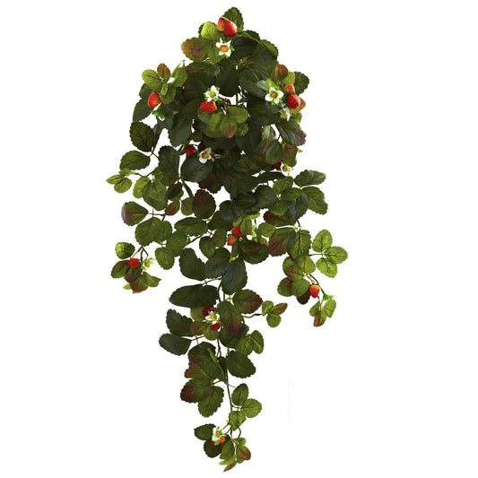a plant with red berries
