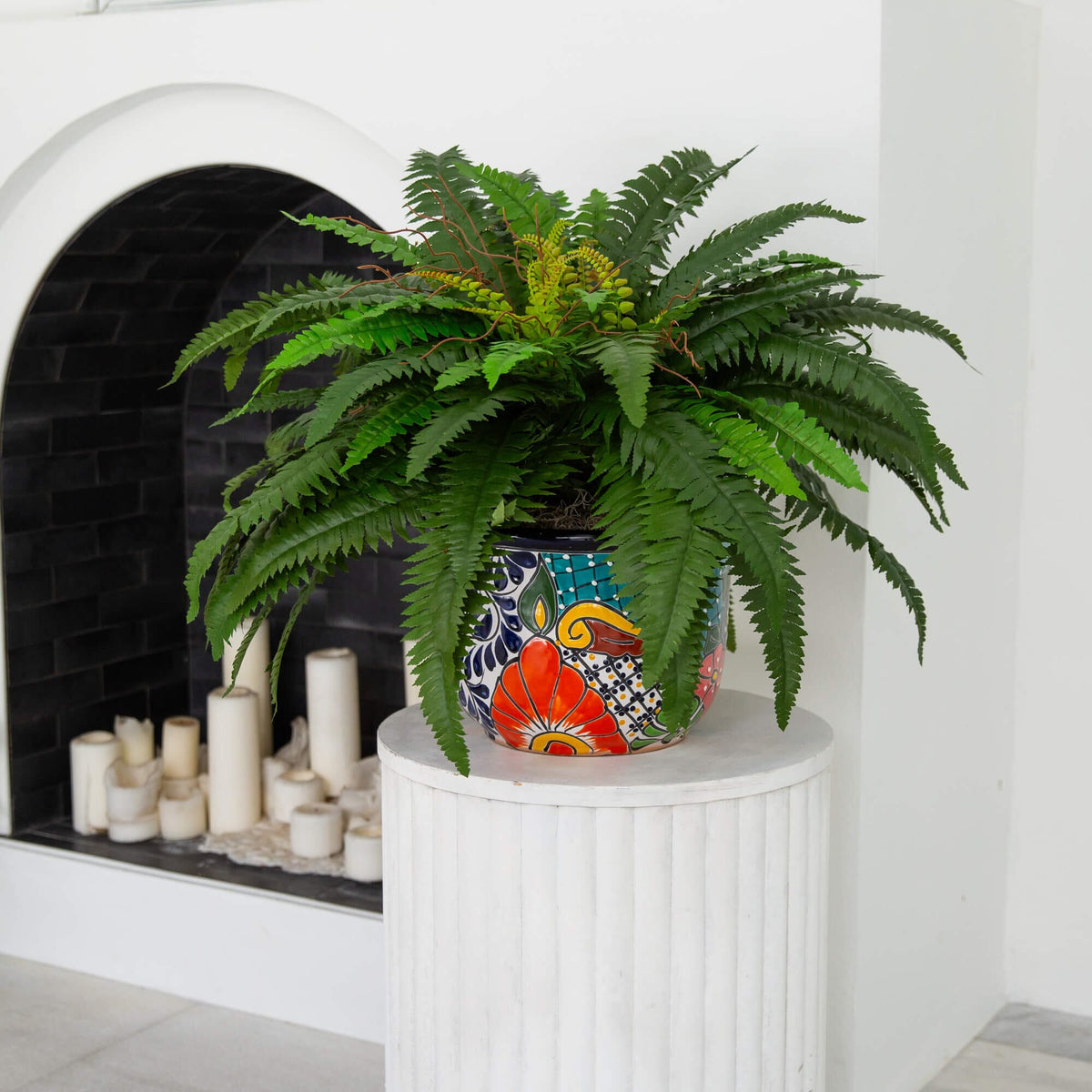 a plant in a pot