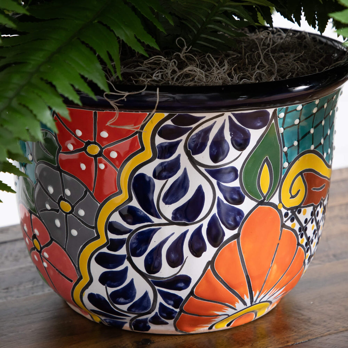 a plant in a pot