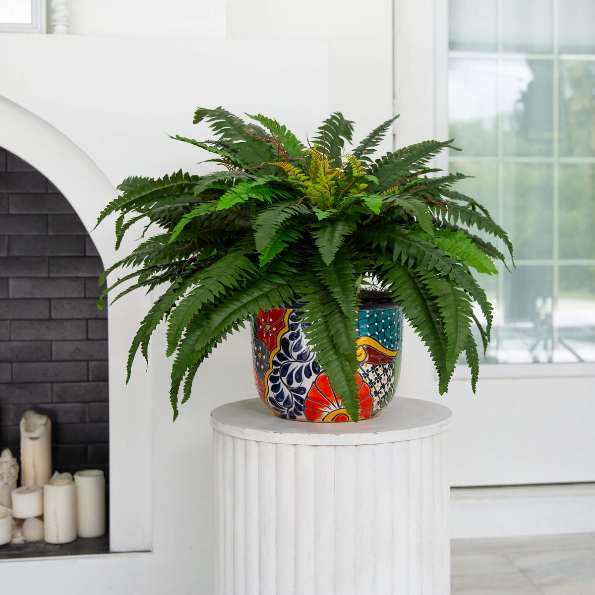 a plant in a pot