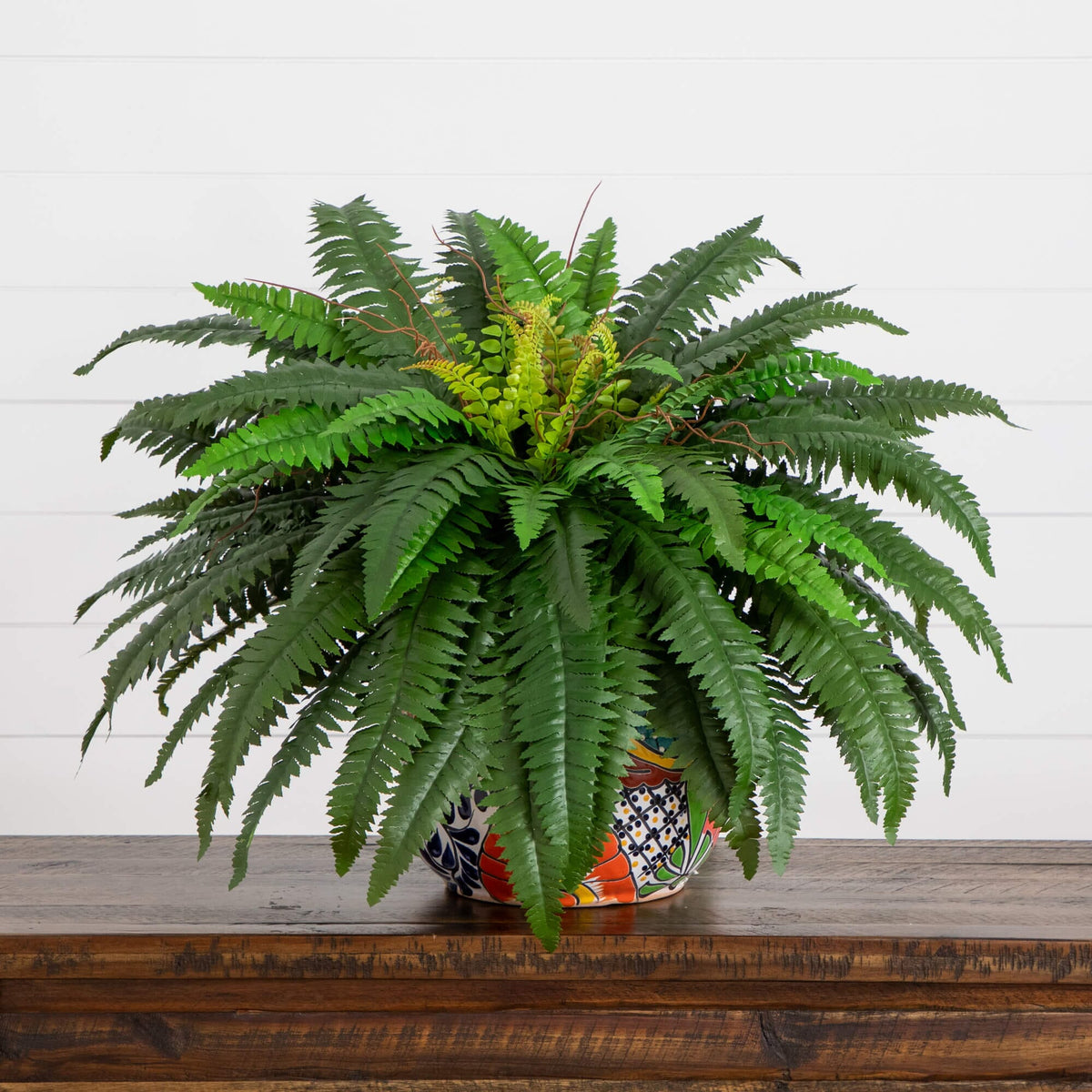 a plant in a pot