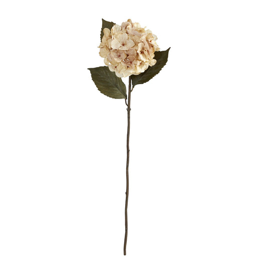 a white flower with green leaves