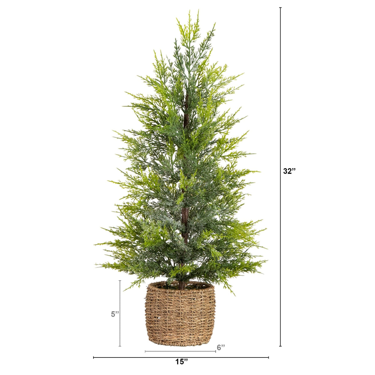 a plant in a pot