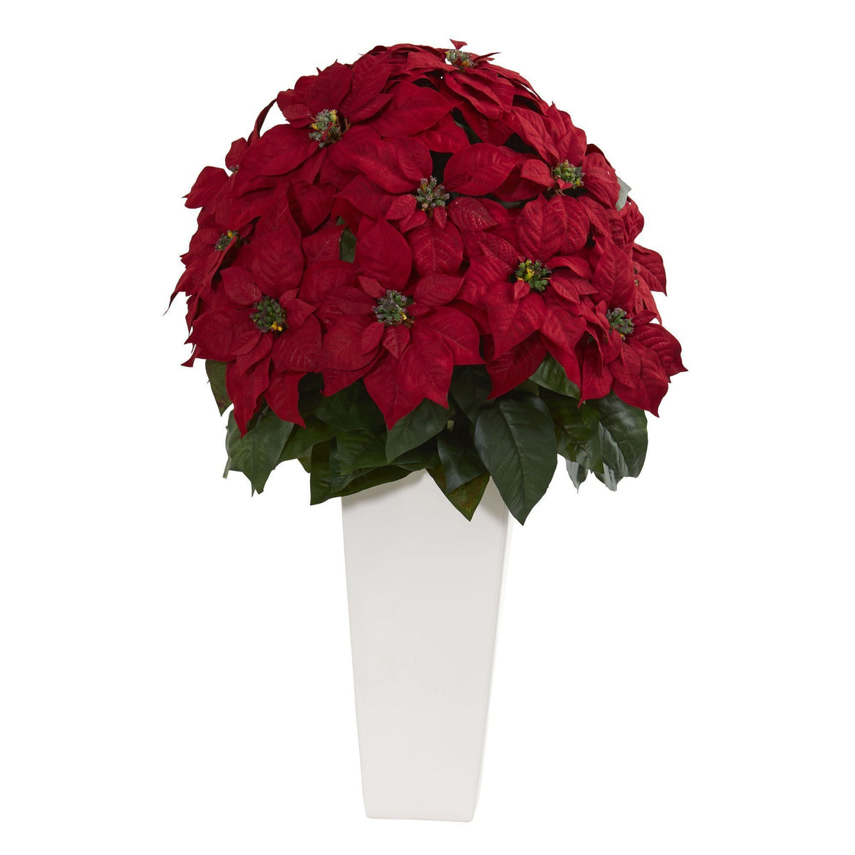 a red poinsettia in a white vase