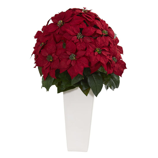 a red poinsettia in a white vase