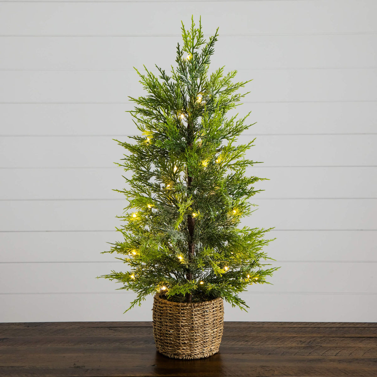 a small tree with lights in a pot