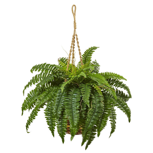 a plant in a pot