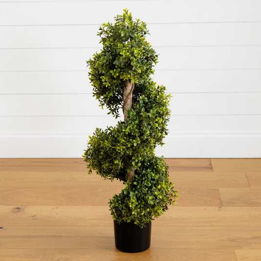 a plant in a pot