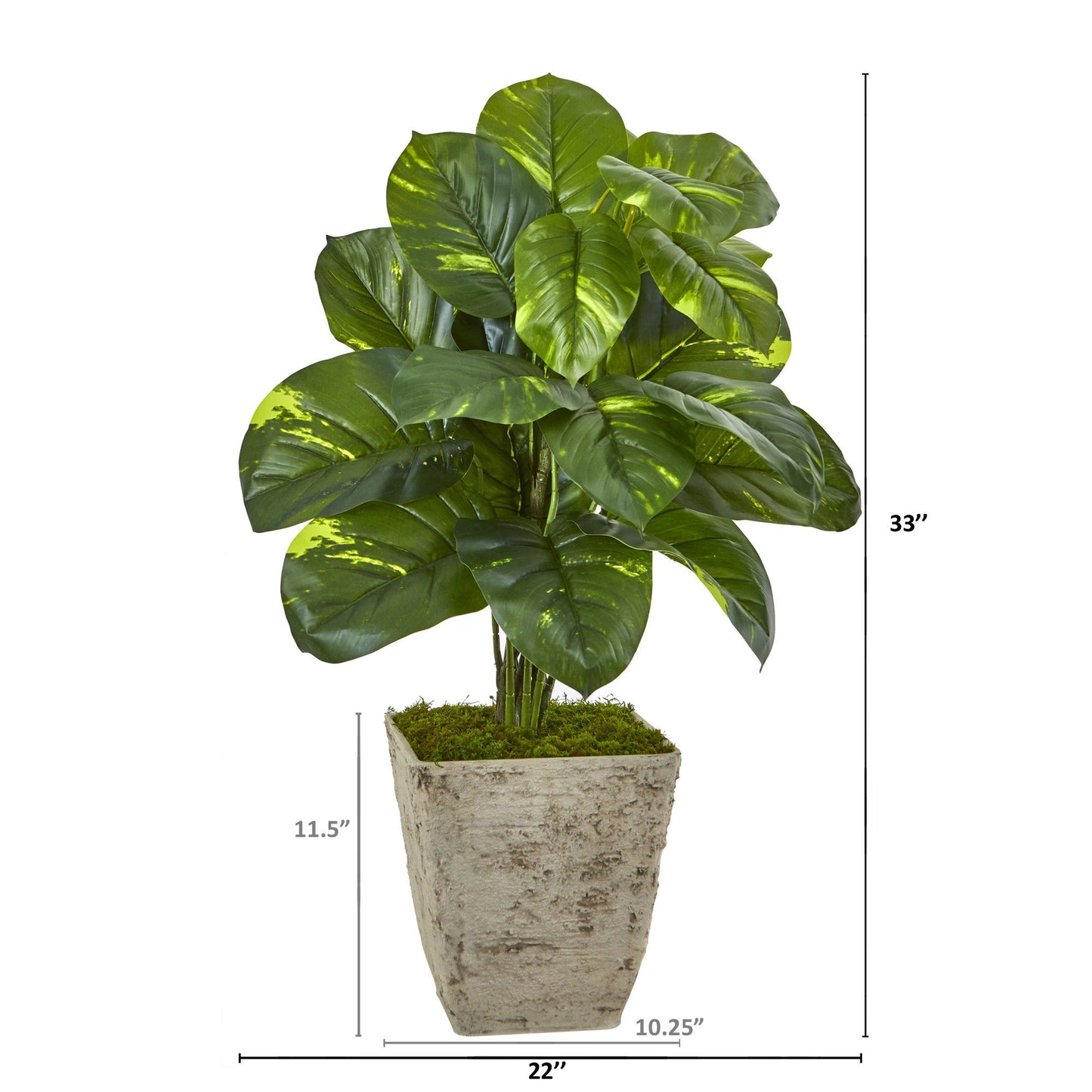33” Dieffenbachia Artificial Plant in Country White Planter