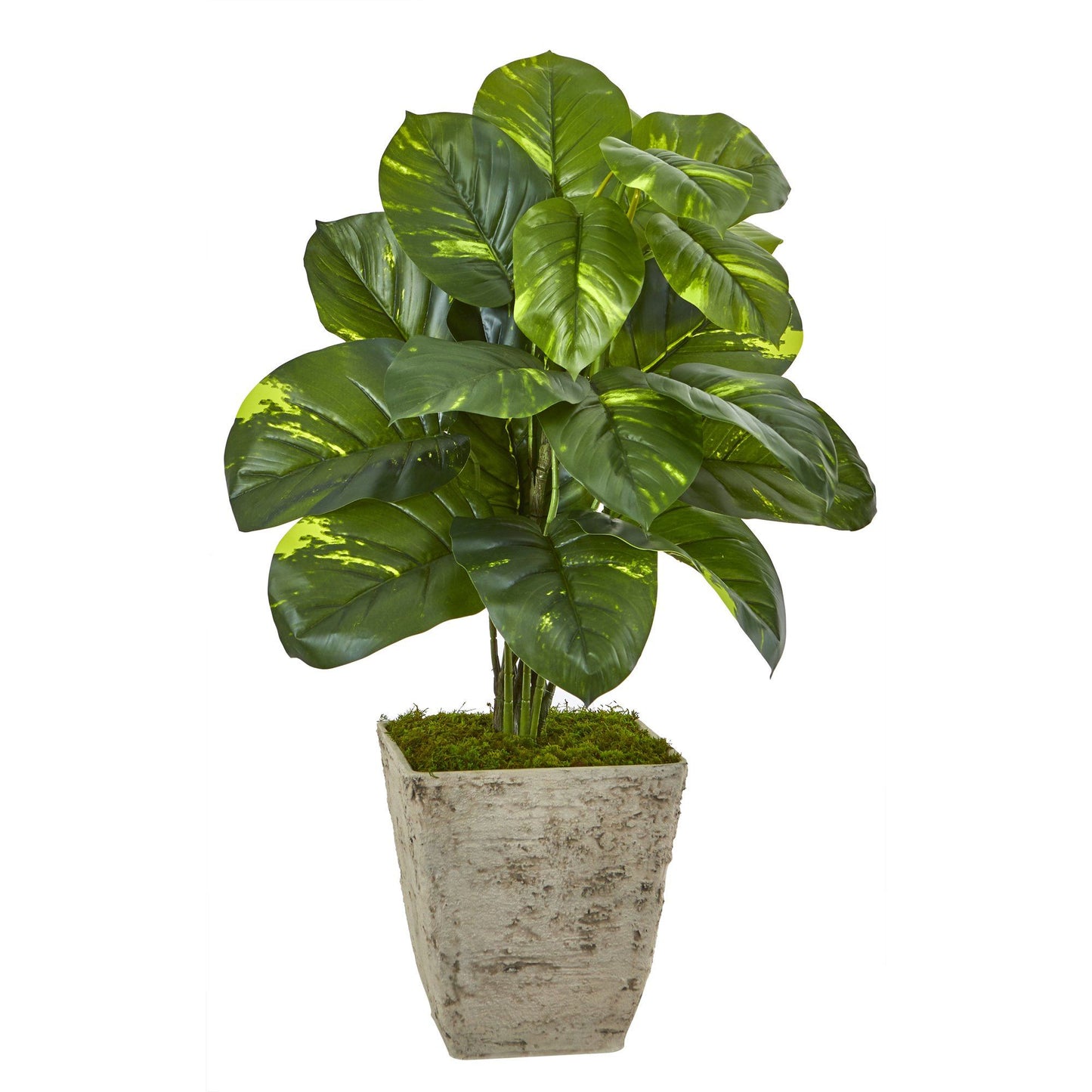 33” Dieffenbachia Artificial Plant in Country White Planter