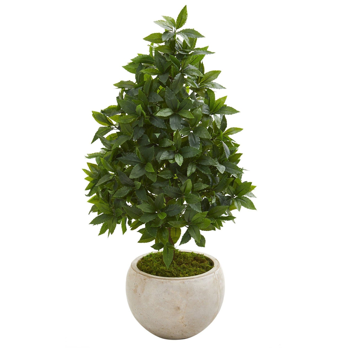 33” Sweet Bay Cone Topiary Artificial Tree in Sand Colored Planter
