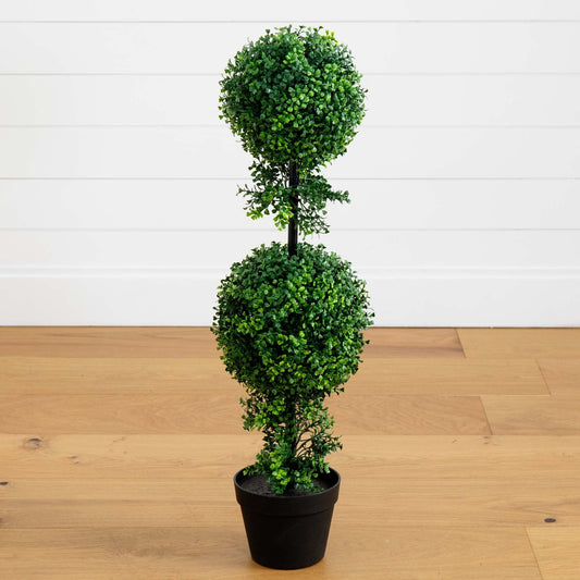a plant in a pot