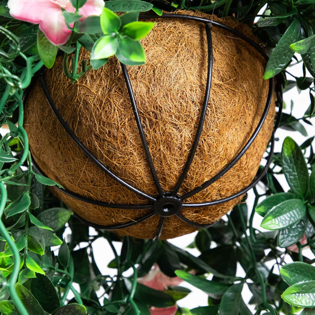 a plant with a round object in it