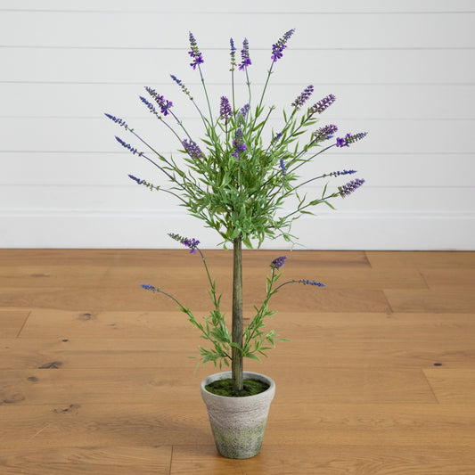 a potted plant with purple flowers