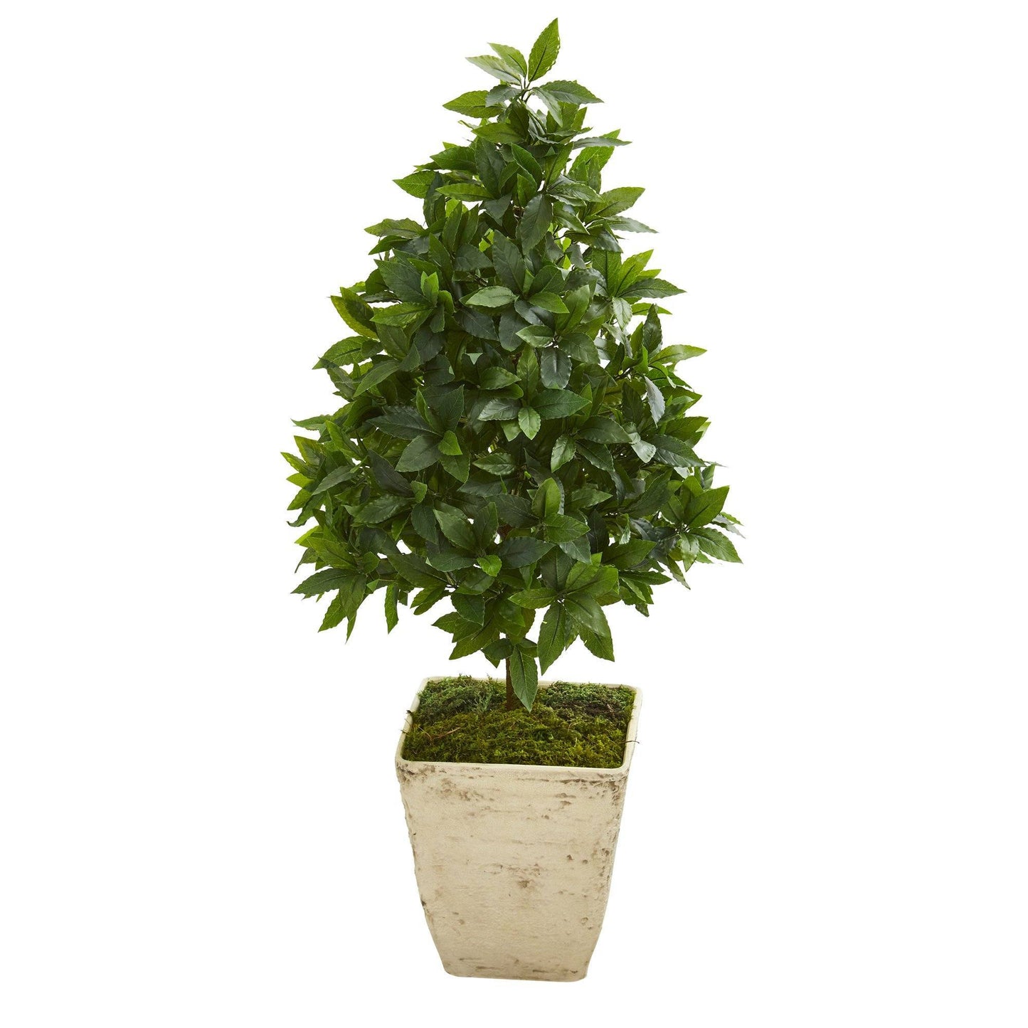 34” Sweet Bay Cone Topiary Artificial Tree in Country White Planter