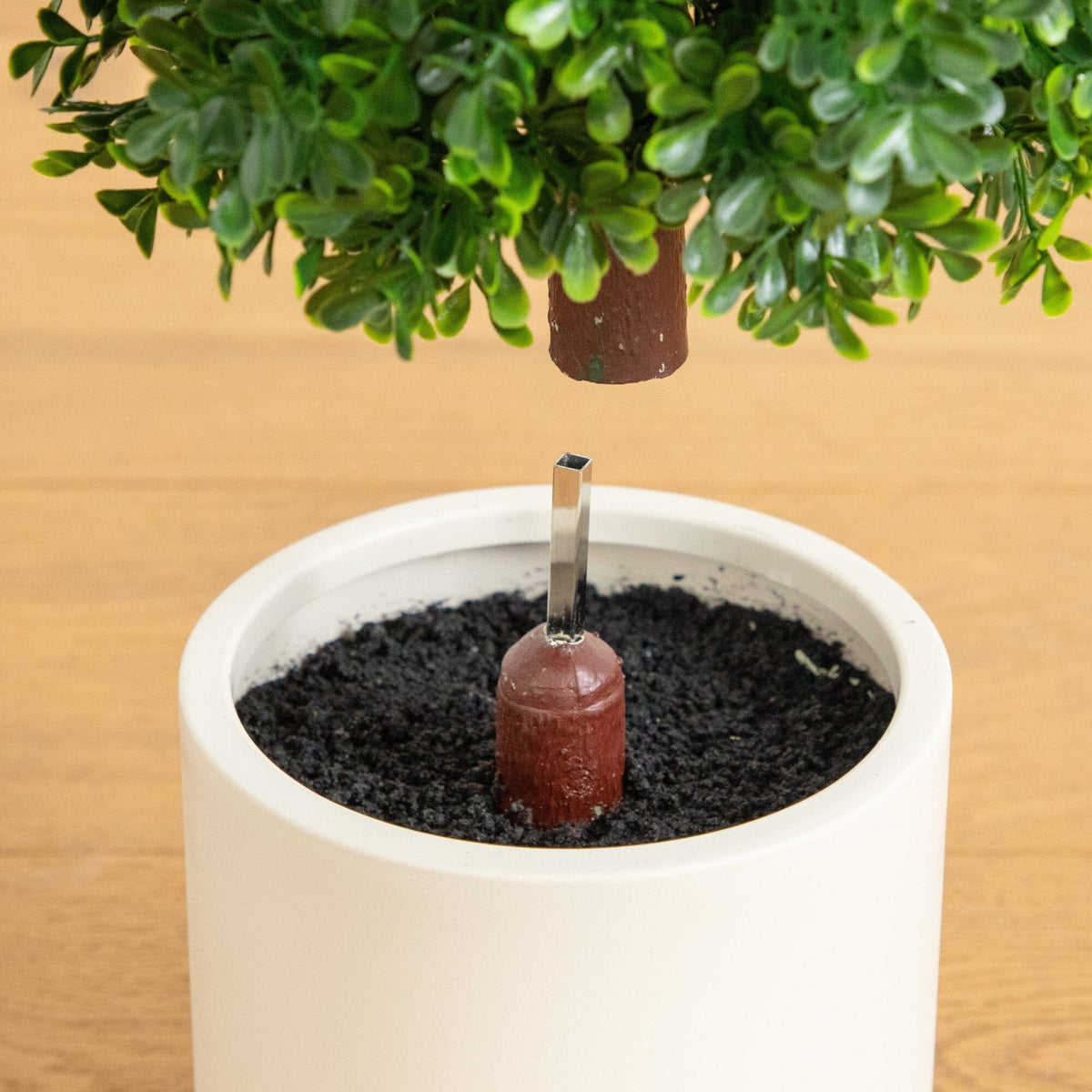 a small plant in a pot