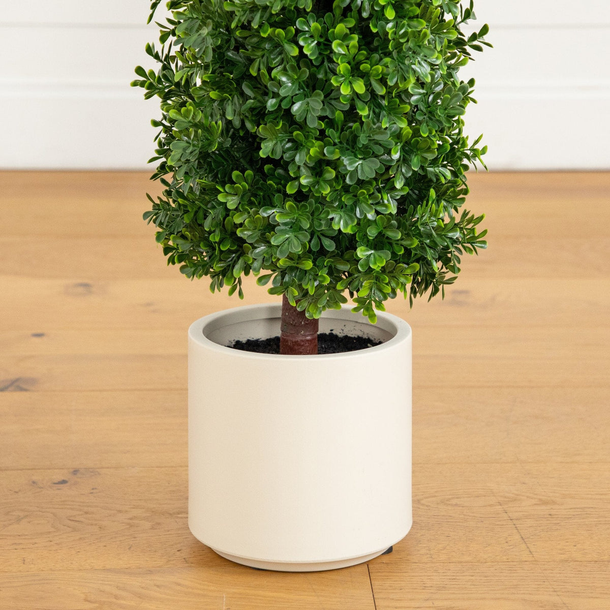 a small tree in a white pot