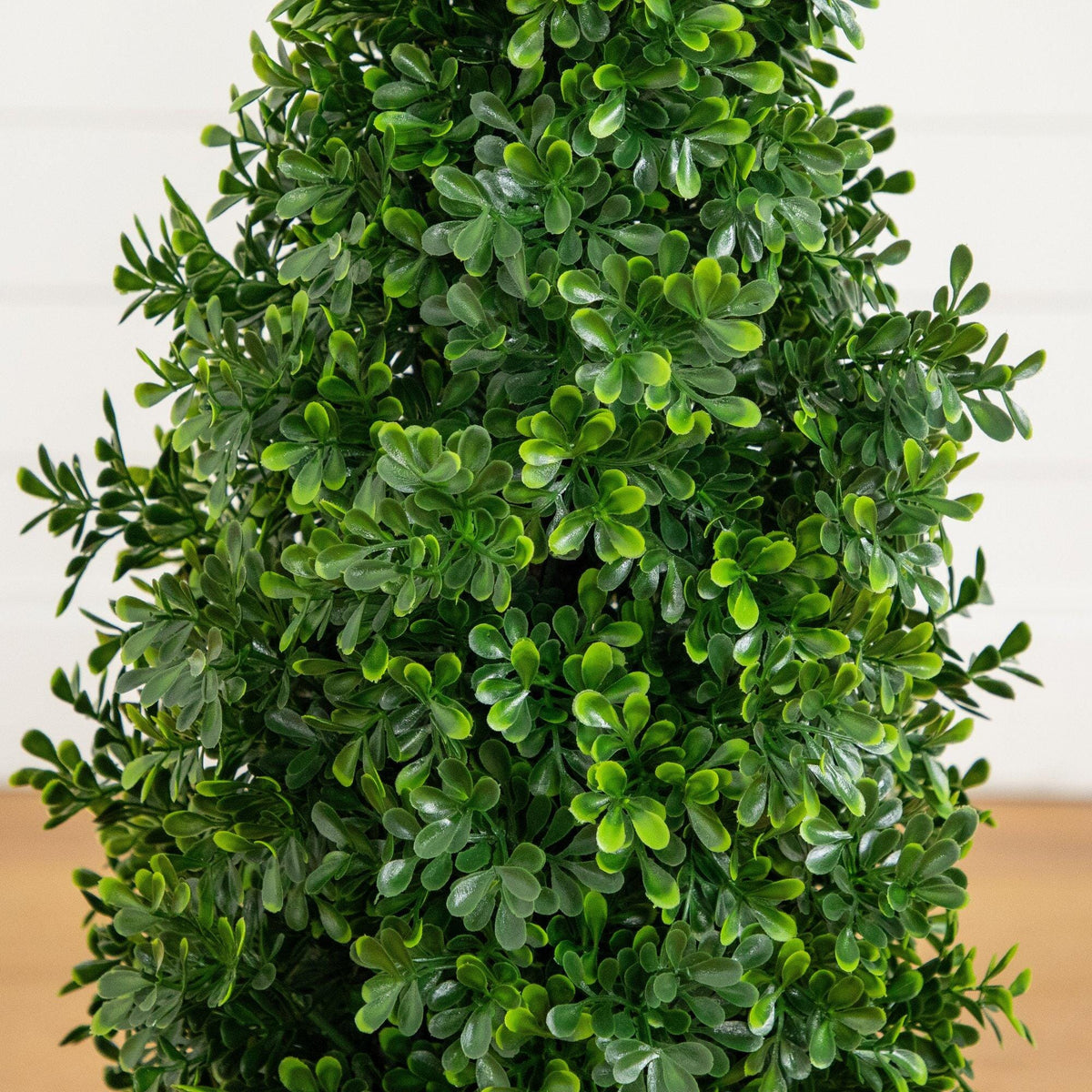 a green plant in a pot