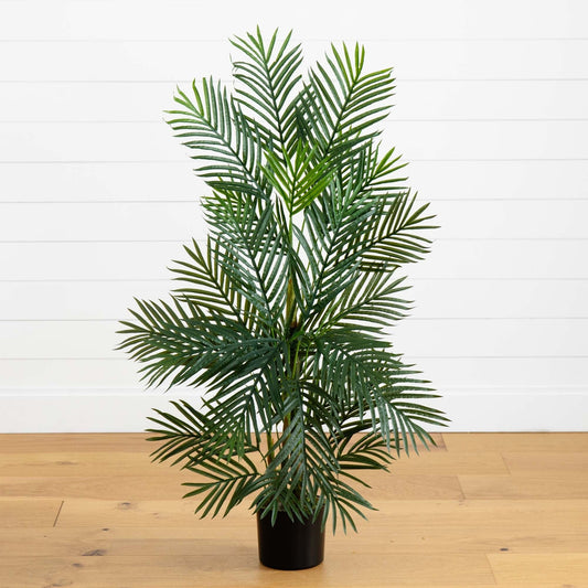 a potted plant on a wood floor