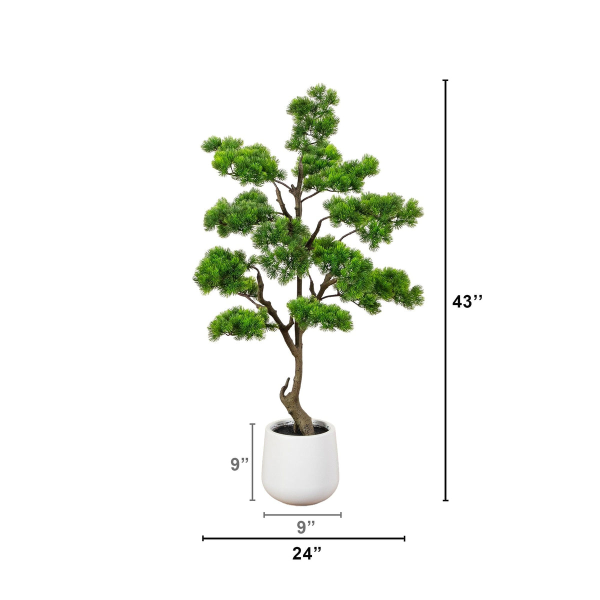 a small tree in a white pot